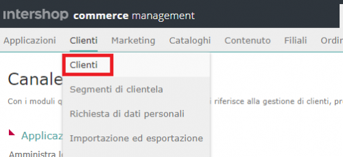 Int Cliente 2.PNG